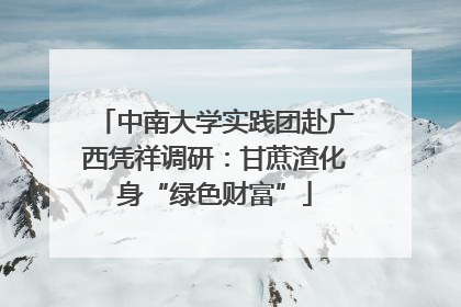 中南大学实践团赴广西凭祥调研：甘蔗渣化身“绿色财富”